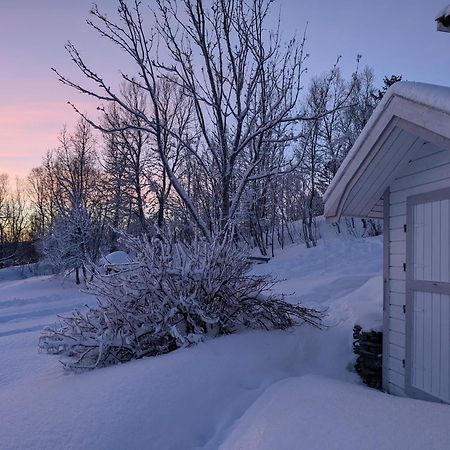 Cabin Magic On Senja, Atmosphere Like A Fairytale Botnhamn Extérieur photo