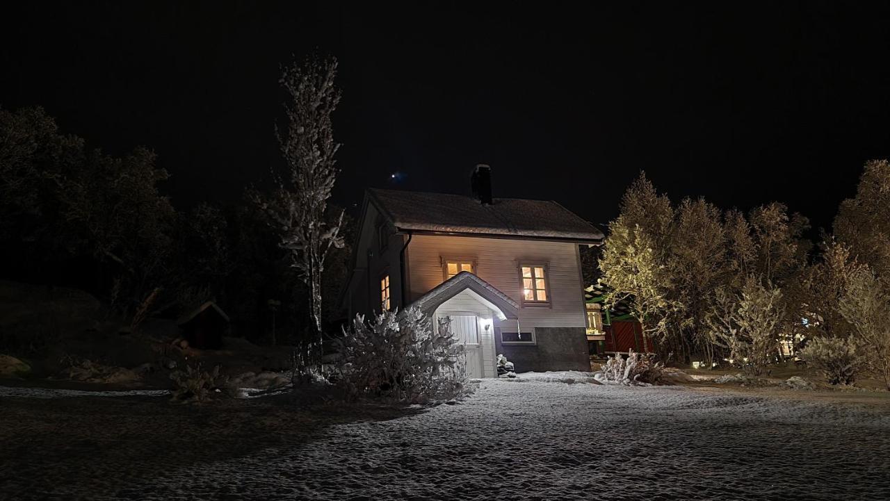 Cabin Magic On Senja, Atmosphere Like A Fairytale Botnhamn Extérieur photo