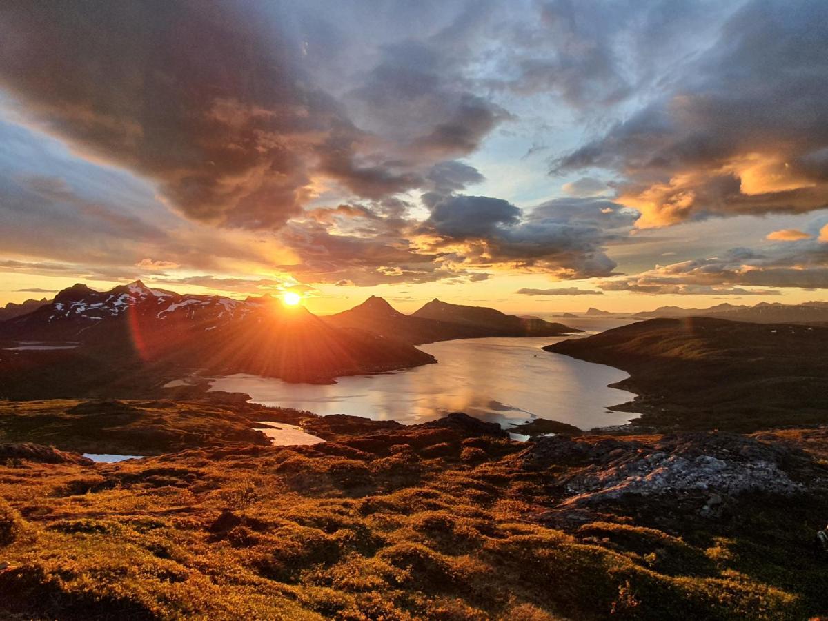 Cabin Magic On Senja, Atmosphere Like A Fairytale Botnhamn Extérieur photo