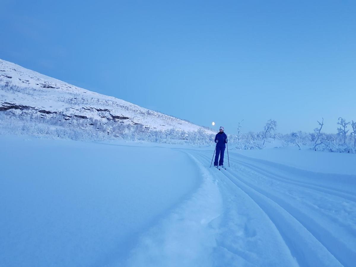 Cabin Magic On Senja, Atmosphere Like A Fairytale Botnhamn Extérieur photo