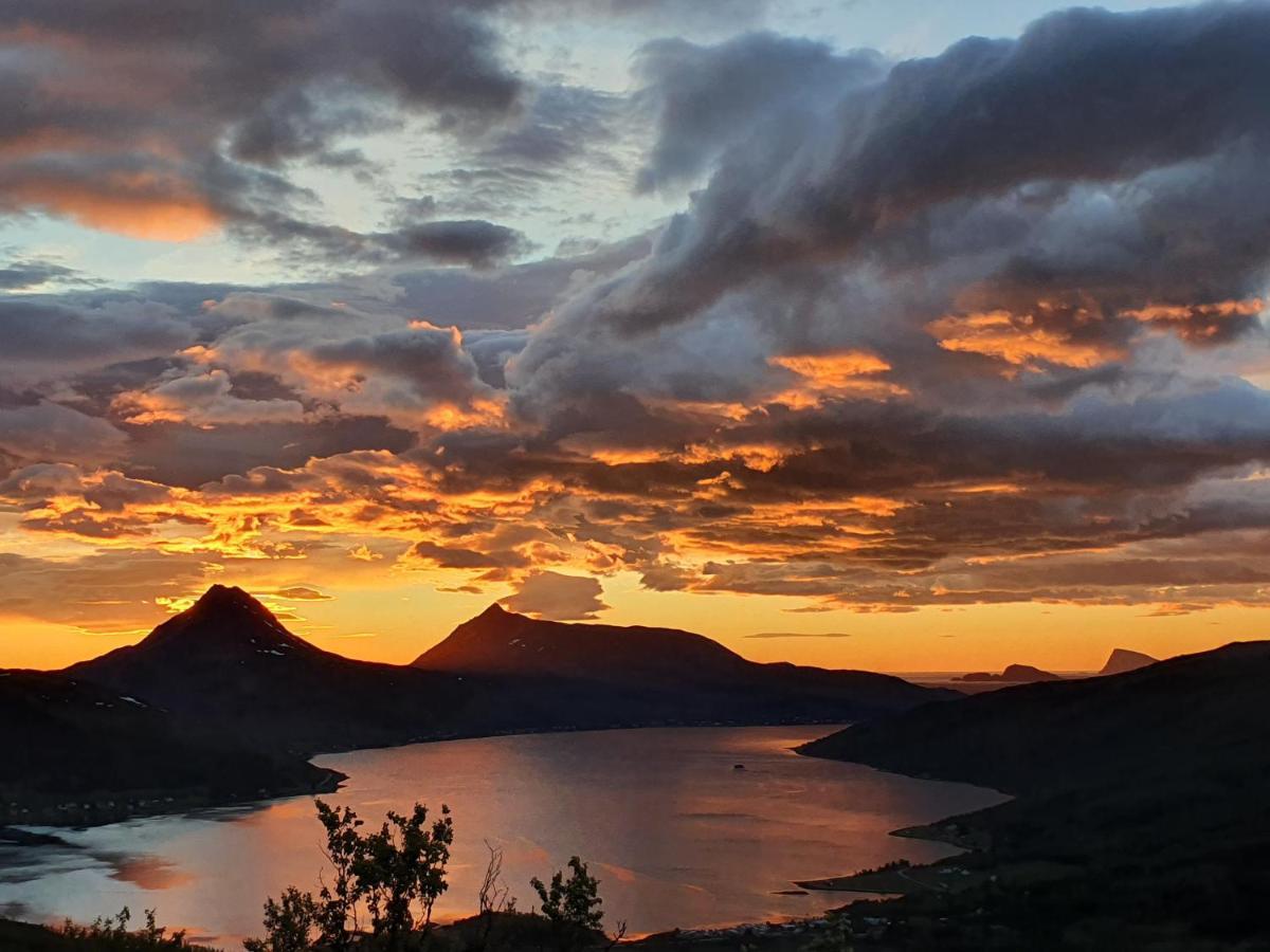 Cabin Magic On Senja, Atmosphere Like A Fairytale Botnhamn Extérieur photo