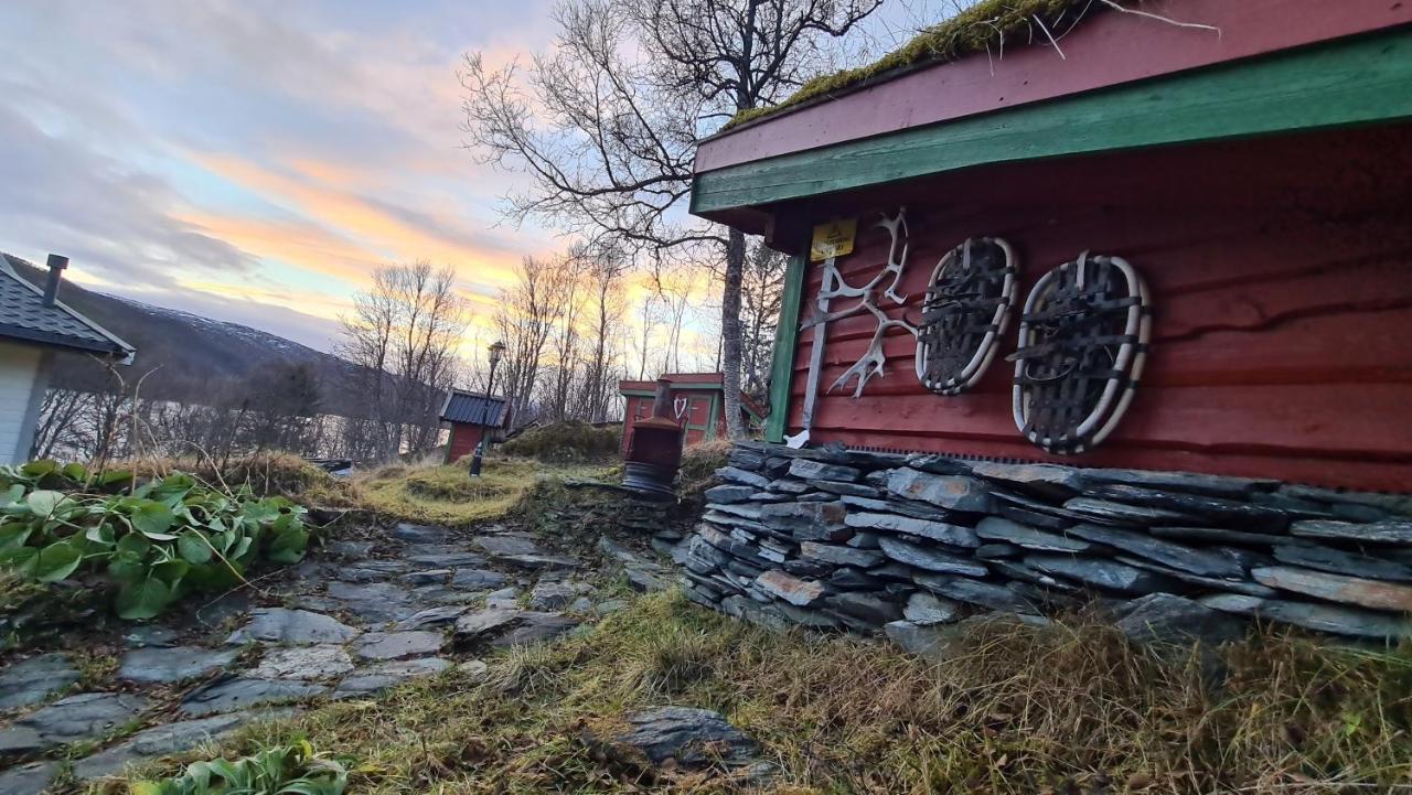 Cabin Magic On Senja, Atmosphere Like A Fairytale Botnhamn Extérieur photo