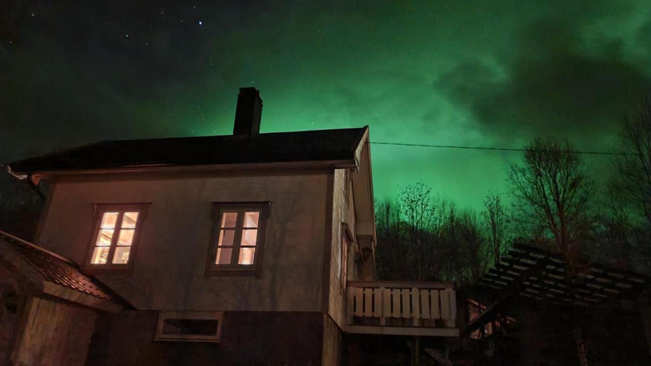Cabin Magic On Senja, Atmosphere Like A Fairytale Botnhamn Extérieur photo