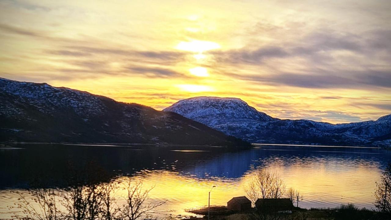 Cabin Magic On Senja, Atmosphere Like A Fairytale Botnhamn Extérieur photo