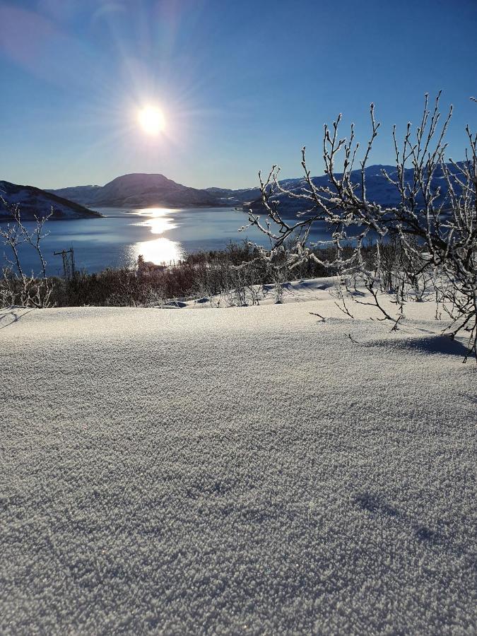 Cabin Magic On Senja, Atmosphere Like A Fairytale Botnhamn Extérieur photo