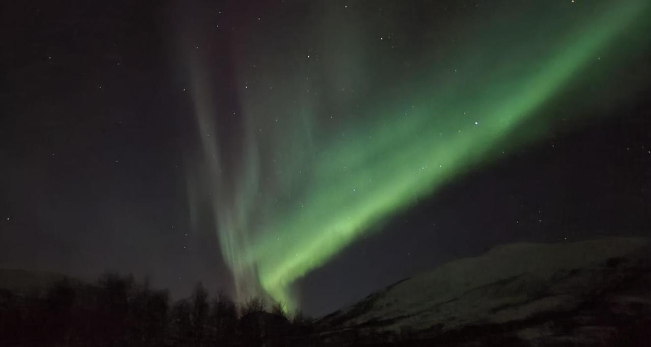 Cabin Magic On Senja, Atmosphere Like A Fairytale Botnhamn Extérieur photo