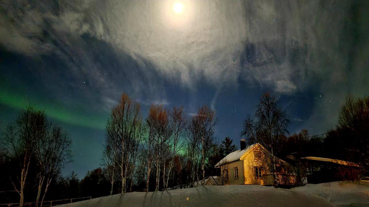 Cabin Magic On Senja, Atmosphere Like A Fairytale Botnhamn Extérieur photo