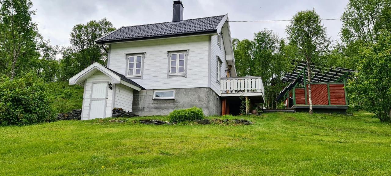 Cabin Magic On Senja, Atmosphere Like A Fairytale Botnhamn Extérieur photo