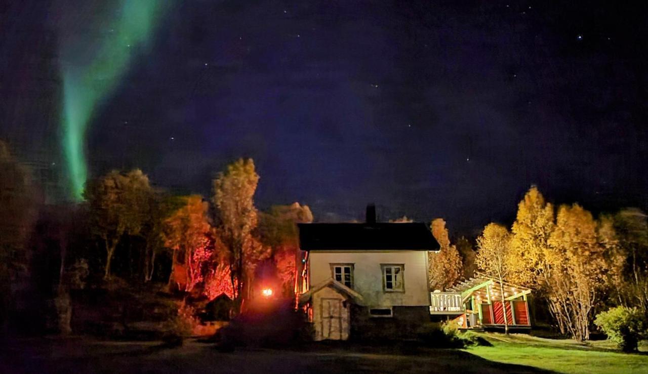 Cabin Magic On Senja, Atmosphere Like A Fairytale Botnhamn Extérieur photo