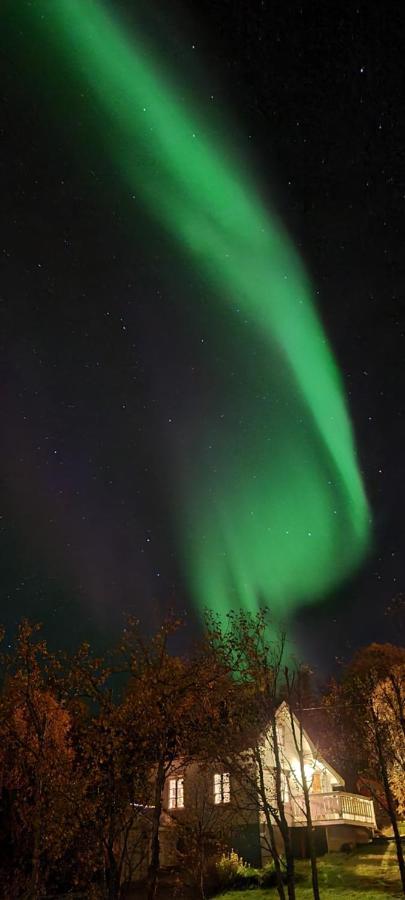 Cabin Magic On Senja, Atmosphere Like A Fairytale Botnhamn Extérieur photo