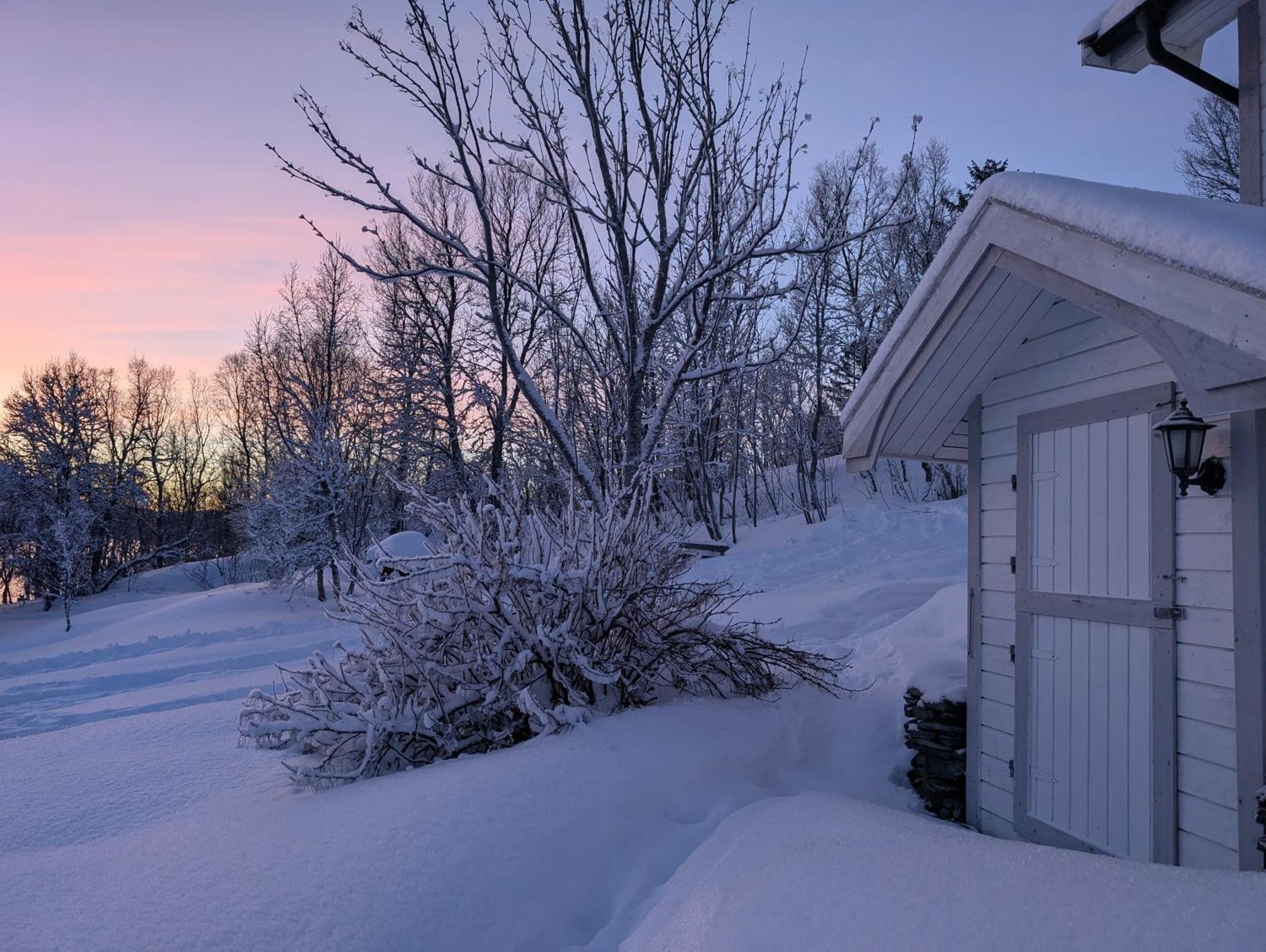 Cabin Magic On Senja, Atmosphere Like A Fairytale Botnhamn Extérieur photo